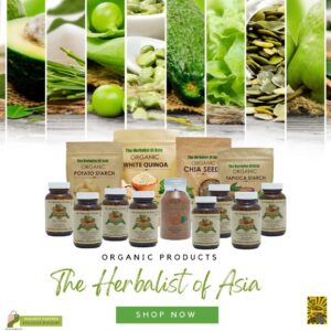 PAPAYA by The Herbalist of Asia 500mg ; 60capsules