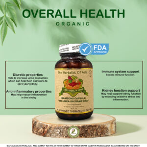 SAMBONG by The Herbalist of Asia 500mg; 90 capsules